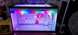 Aquarium fullset