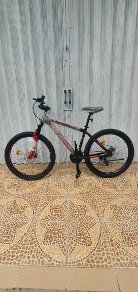 Sepeda Phoenix dari Exotic seri NP - 2703