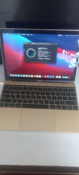 Macbook air retina 2017 8/256 Gb 12 inch Model A1534