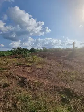 Dijual tanah kawasan industri tuban