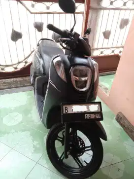 Honda Genio ISS Fabulous 2019 Gress