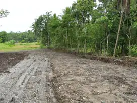 Dekat Pintu Tol Sentolo Tanah Dijual Jogja Kulon Progo Untuk Investasi