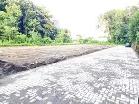 Dekat SD-SMP Islam Al-Azhar, Tanah Jogja di Pandanaran Cocok Untuk Kos