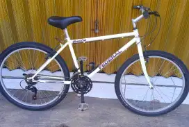 Commuter bike no seri