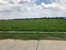 Jual Tanah Seluas 14.174 m2 di Karangsambung, Majalengka