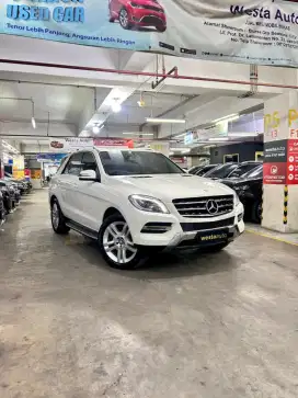 ODO 50rb Mercedes Benz Mercy ML350 2013