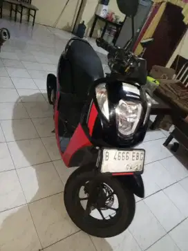 Honda Genio 2024