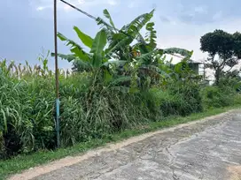 Tanah 3350m² Cocok Untuk Kebun Buah Karanganyar