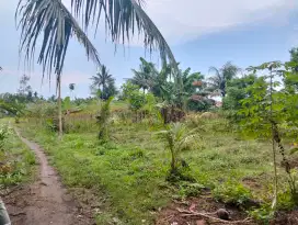 Dijual tanah cantik