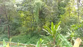 Jual Tanah Cocok Untuk Perumahan di Babakan Jawa, Majalengka