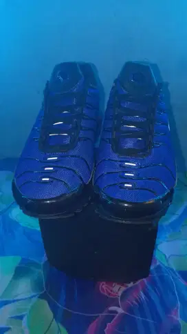 Sepatu Nike Tn Air
