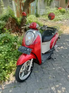 Honda scoopy 2011