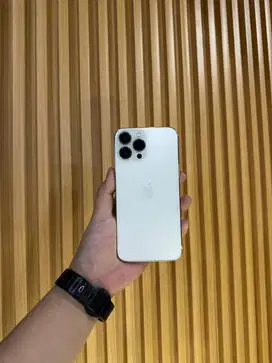 iPhone 13 Promax 256gb