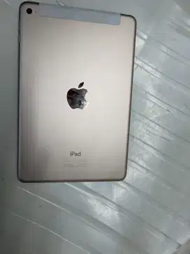 iPad mini 4 64gb no minus