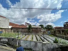 DIJUAL TANAH TASIKMALAYA TAWANG