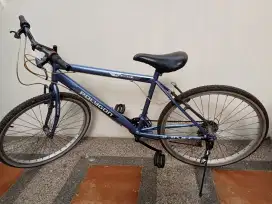 Sepeda Polygon Msh bagus