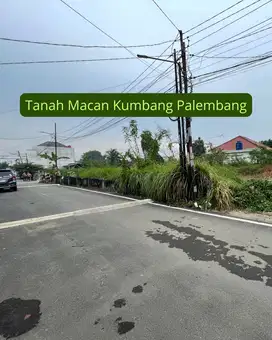 Tanah tengah kota palembang demang lebar daun