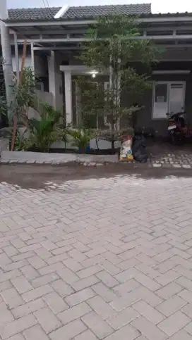Rumah Dikontrakan Pertahun 16Jt Bisa NEGO.