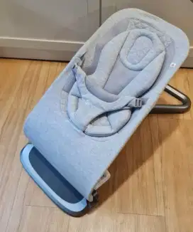 Ergobaby bouncer