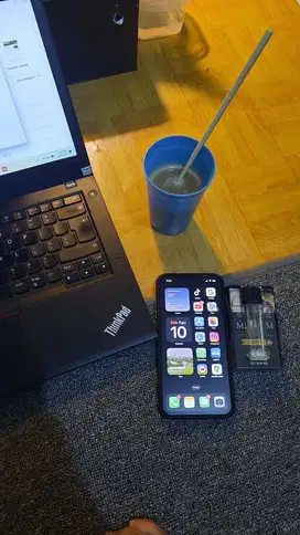 Xs Max dual Sim