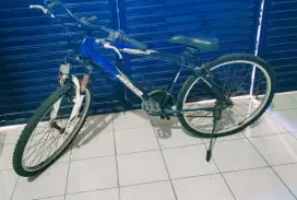 Sepeda Polygon Monarch 2.0