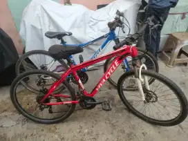 sepeda mtb merk viva cycle