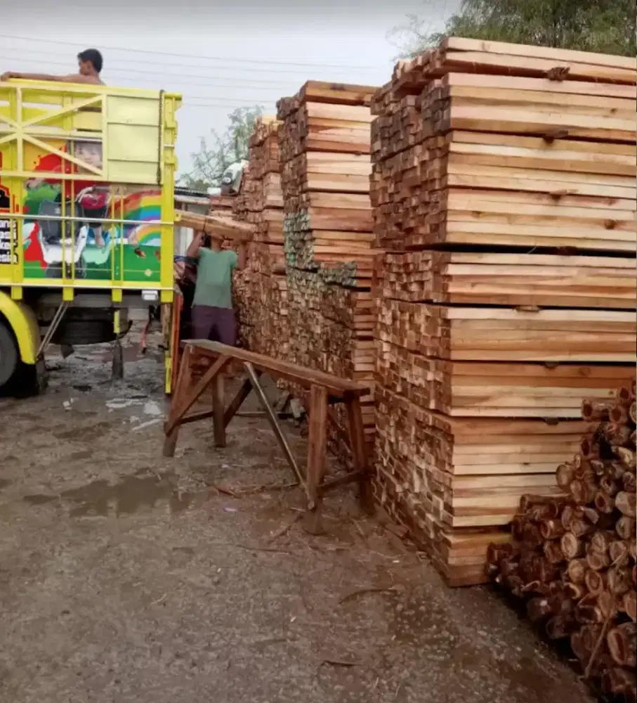 Jual bambu steger 6 meter