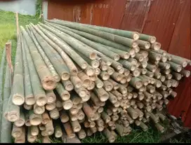 Jual bambu steger cor 6 meter