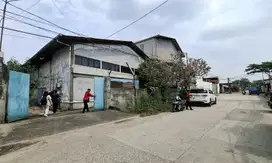 GUDANG KAPUK MANGGA UBI SIAP PAKAI