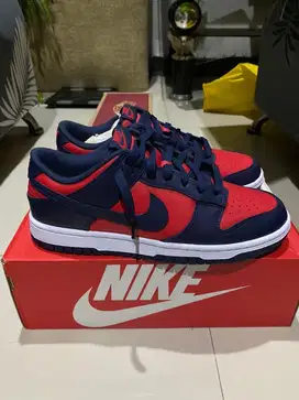 NIKE DUNK LOW RETRO