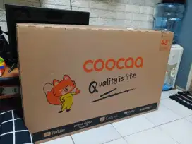 tv coocca 43 inc
