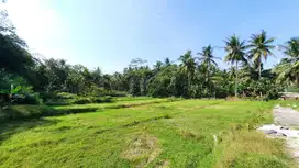 UNTUNG BESAR, Investasi Tanah Terbaik di Jogja Barat