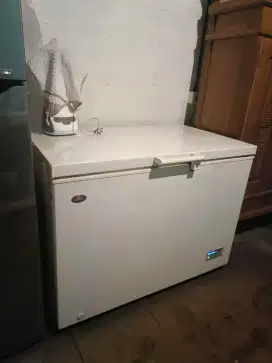 Showcase&Freezer