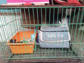 Paket Perlengkapan Kucing