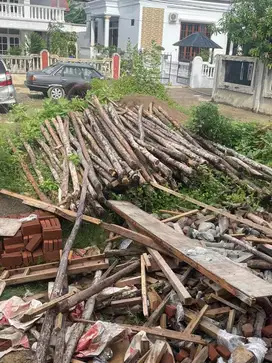 Kayu peranca cor