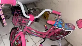 Sepeda Anak kondisi 90%