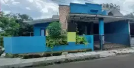 Rumah Taman Yasmin