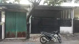 DISEWAKAN RUMAH MURAH DI MUSIK RAYA 65 JT NEGO