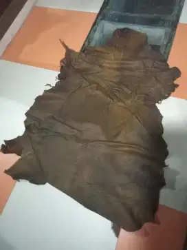 Kulit domba tinggal jahit
