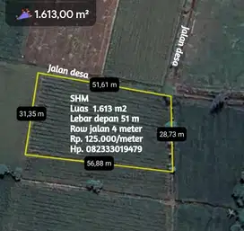 Tanah sawah pinggir jalan desa
