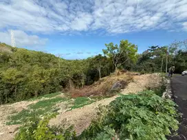 Dijual tanah luas 44,6 are Di jalan pantai greenbowl