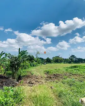 AMS-073.ERC | Tanah Kavling Super Murah luas 100m2 di Bongan Tabanan