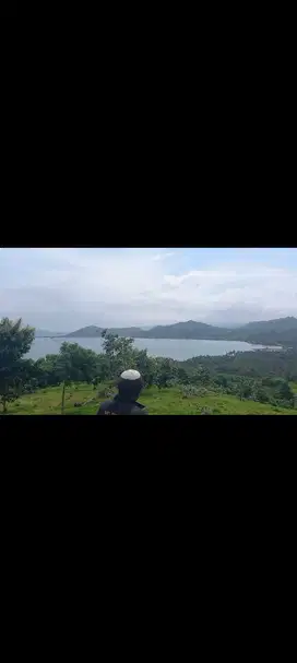 Sekotong land with ocean view and direct access tonthe main road very