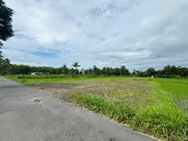 Tanah Kaliurang Jogja, Prospek Bangun Villa/ Homestay