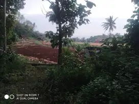 Tanah di gunung Kidul dekat dengan pantai sangat cocok untuk homestay