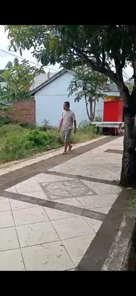 Tanah emas di barat alun2 kajen