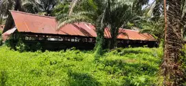 Lahan 1,86 Ha SHM di Talang Kelapa – Strategis & Siap Pakai