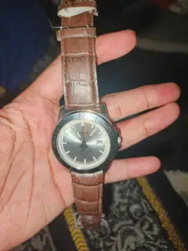 Casio Brown Strap