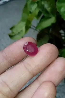 RUBY PIGEON NATURAL