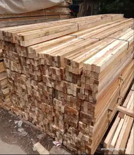 Jual bambu steger 6 meter